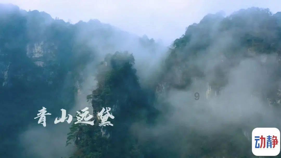 探索毛衣要怎么挂才不会变形的吖?知识星球,解锁无限学习之旅!